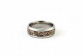 Load image into Gallery viewer, Dinosaur Bone Inlay Stainless Steel Ring