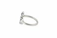 Load image into Gallery viewer, Paw adjustable Stainless Steel Ring