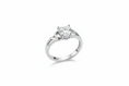 Load image into Gallery viewer, Heart shape with heart Cubic Zirconia Stone Stainless Steel Ring