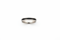 Load image into Gallery viewer, Silver with Black Inlay Stainless Steel Ring