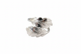Load image into Gallery viewer, Leafe Stainless Steel Ring
