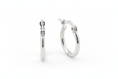 Load image into Gallery viewer, Clasp Hoop Earring
