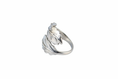 Load image into Gallery viewer, Leafe Stainless Steel Ring
